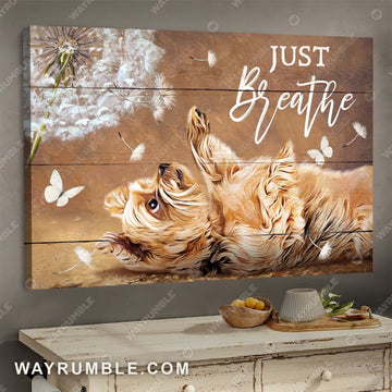 Cute little Yorkshire Terrier, Dandelion, Just breath - Yorkshire Landscape Canvas Prints, Wall Art